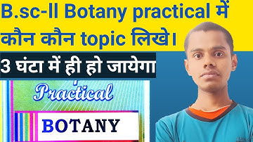 Bsc part 2 botany practical kaise likhe bsc 2nd year how to write botany subsidiary practical