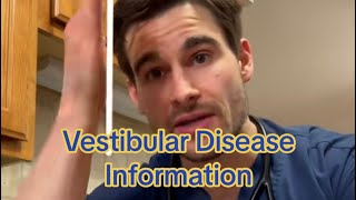 Vestibular Disease (often called a “Stroke.”) by Dr. Bozelka, ER Veterinarian 394 views 1 month ago 1 minute, 52 seconds