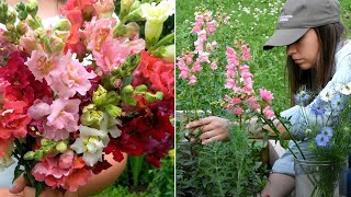 Starting Snapdragon Seeds Indoors  Seed Storage and Scheduling Cut Flowers // Northlawn Flower Farm