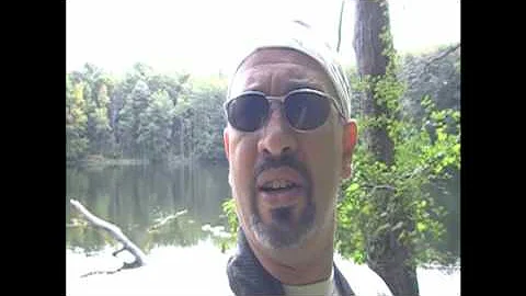 Tracy Lake
