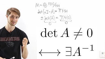 Matrix Invertibility With F[x]-Modules