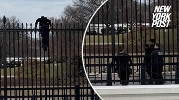 Secret Service swarm black-clad man who tried climbing over White House fence after saying, ‘F–k it’