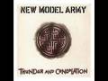 New Model Army - I Love The World