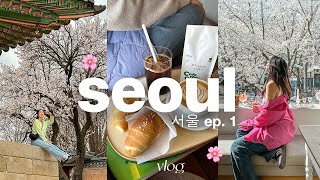 7 days in seoul