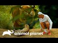 Encontros de Frank com felinos muito perigosos | Wild Frank | Animal Planet Brasil