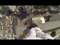 40 story building climb and handstand on the edge stomach turning