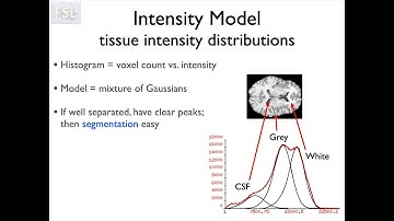 7. Segmentation: FAST (Struc E1)