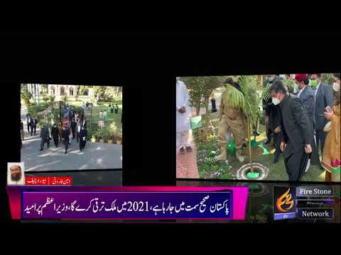 CM Sindh Syed  Murad Ali Shah Inaugurating government campaign in new year sky Paln plantation