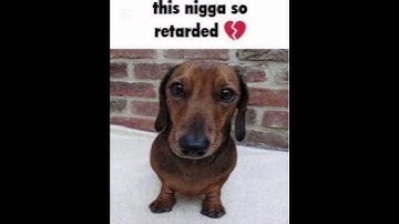 Thumbnail of YBN Nahmir bounce out with that x limerence remix