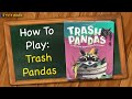 Trash Pandas Game Quiz