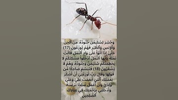 سورة النمل(النملة)