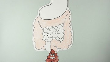 ppGpp: the Manager of Bacterial Factories