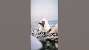 أرح سمعك وتلاوة خاشعه ماتيسر من سورة التوبه وصوت يبعث الطمأنينة الشيخ ماهر المعيقلي -❤🎬👍🔔🤝🆕