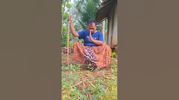 Mau ketawa takut dosa video lucu bikin ngakak hiburan warga +62 #funny #comedy #lucu #trending #meme