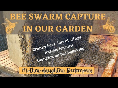 Capturing A Swarm
