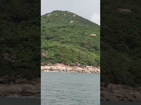 Video: Cheung Chau-eiland Daguitstappiegids