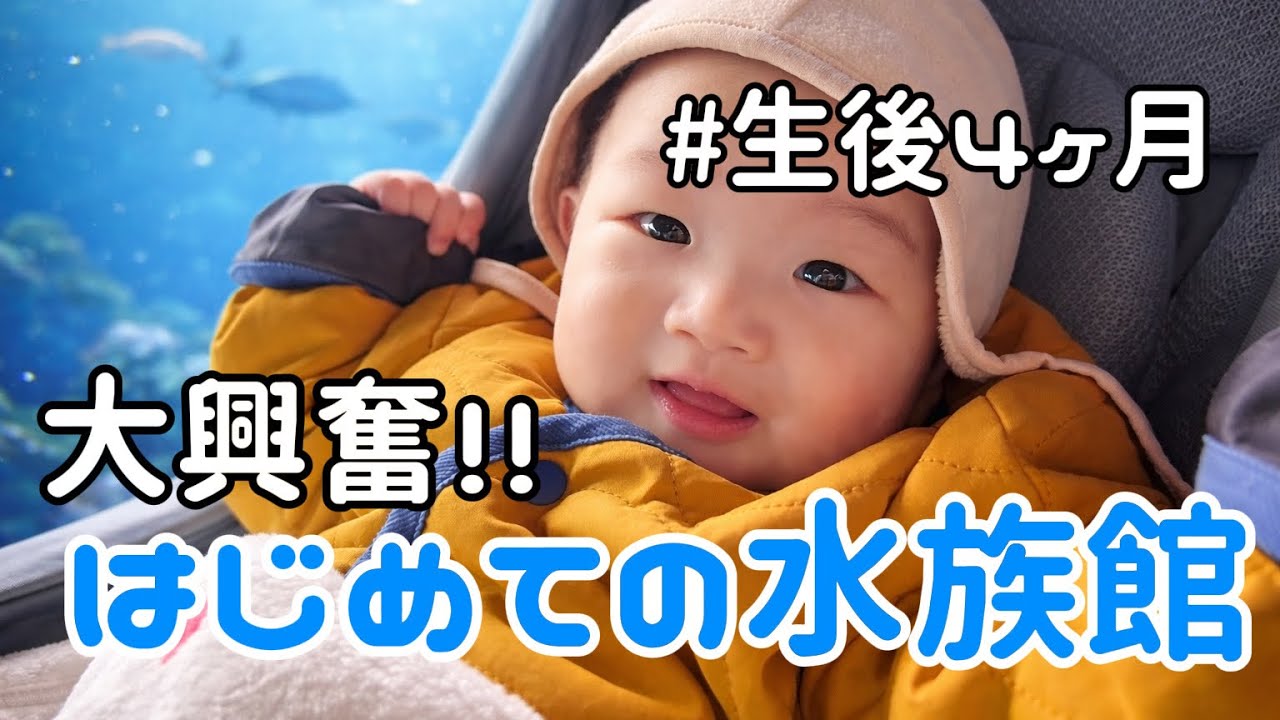 【生後4ヶ月】初めての水族館に大興奮🐟#育児vlog