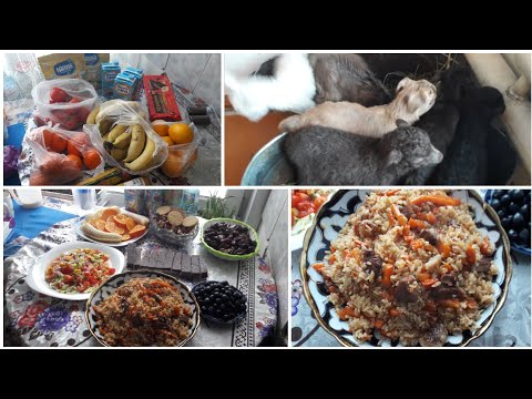 Баракати Аллох дар