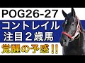 【POG/26−27】コントレイル産駒の注目２歳馬をリストアップ！【２年目で覚醒の予感‼️次シーズン向け】