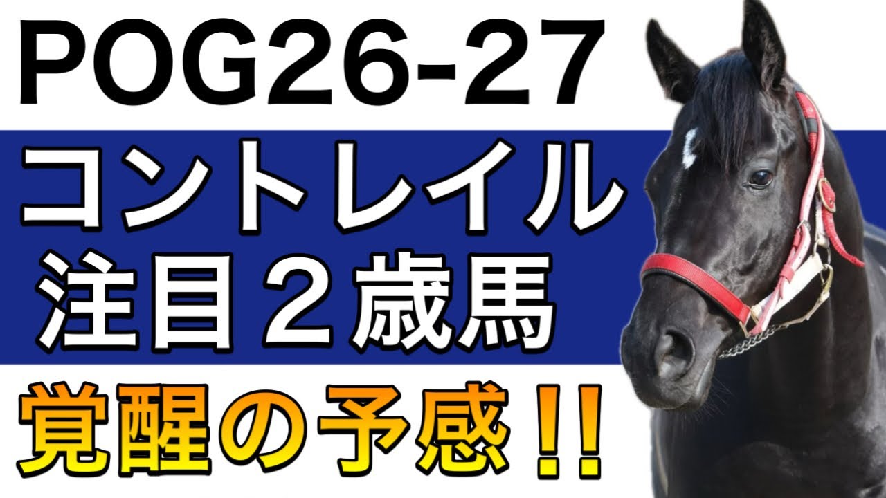 【POG/26−27】コントレイル産駒の注目２歳馬をリストアップ！【２年目で覚醒の予感‼️次シーズン向け】