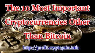 The 10 Most Important Cryptocurrencies Other Than Bitcoin