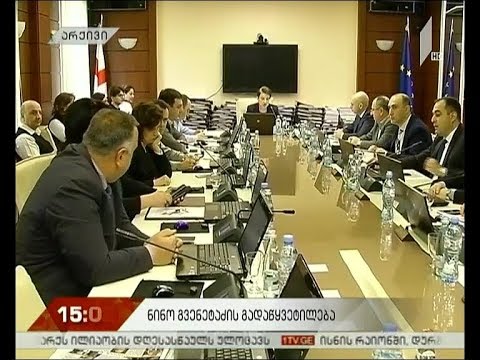 შეფასებები ნინო გვენეტაძის გადადგომაზე