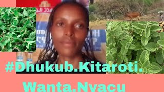 ~Nyataa.Kanara.Fagadha.Dhibee.Kitaroti.Namati.Fida