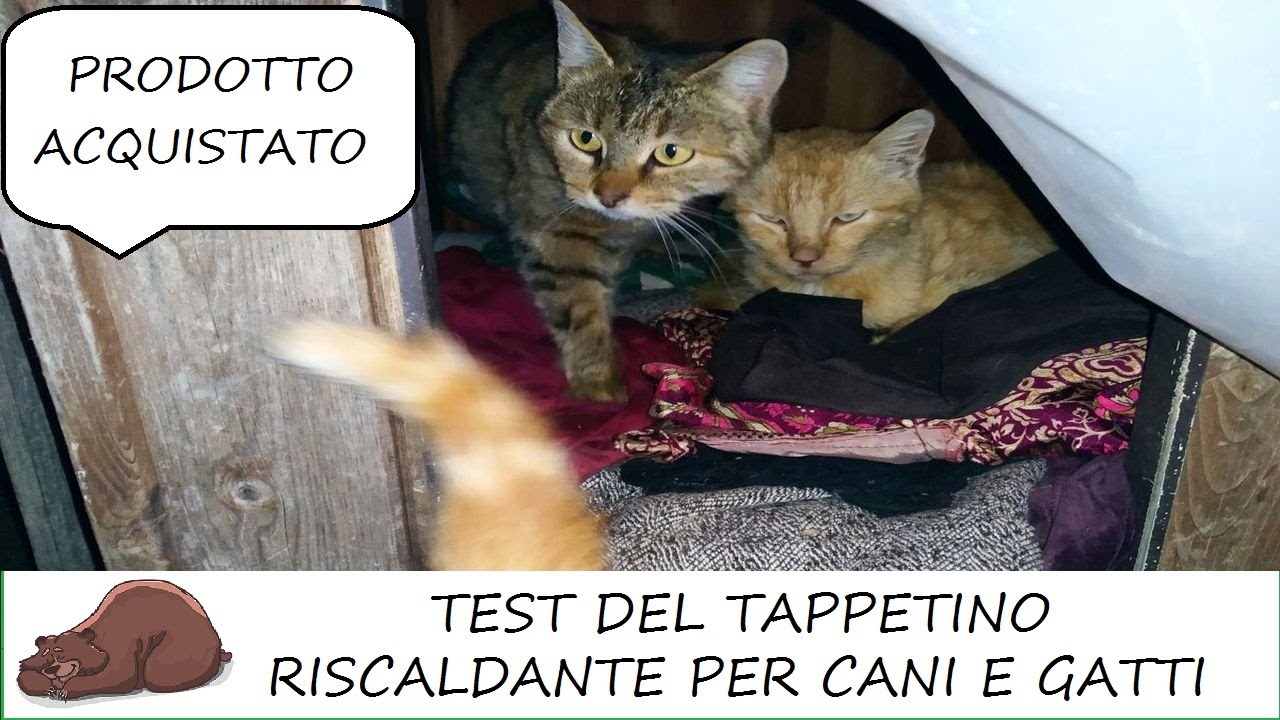 Cuscino Riscaldante Per Animali Domestici HMLTD - Termoregolabile Con Copertura Impermeabile, Per Gatti E Cuccioli - Foto 2