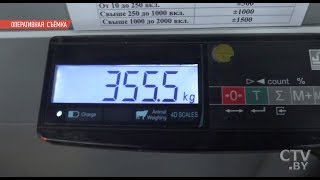 355,5 кг гашиша | На границе с Литвой задержали крупнейшую партию наркотиков на 9 млн. долларов 355,5 кг гашиша | На границе с Литвой задержали крупнейшую партию наркотиков на 9 млн. долларов