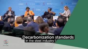Decarbonization standards in the steel industry