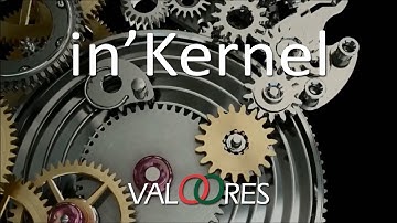 in’Kernel, the core element of the entire suite, provides execution tools allowing users to perform