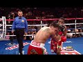 Adrien Broner vs. Daniel Ponce de Leon: Highlights (HBO Boxing)