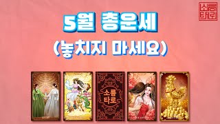 [타로/타로점]5월 총운!!!