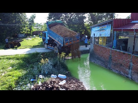 Completed Project !! Filling the Land: Bulldozer & 5T Truck on Flooded land
