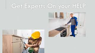Florence Mice Control - Mice Control Service in Florence