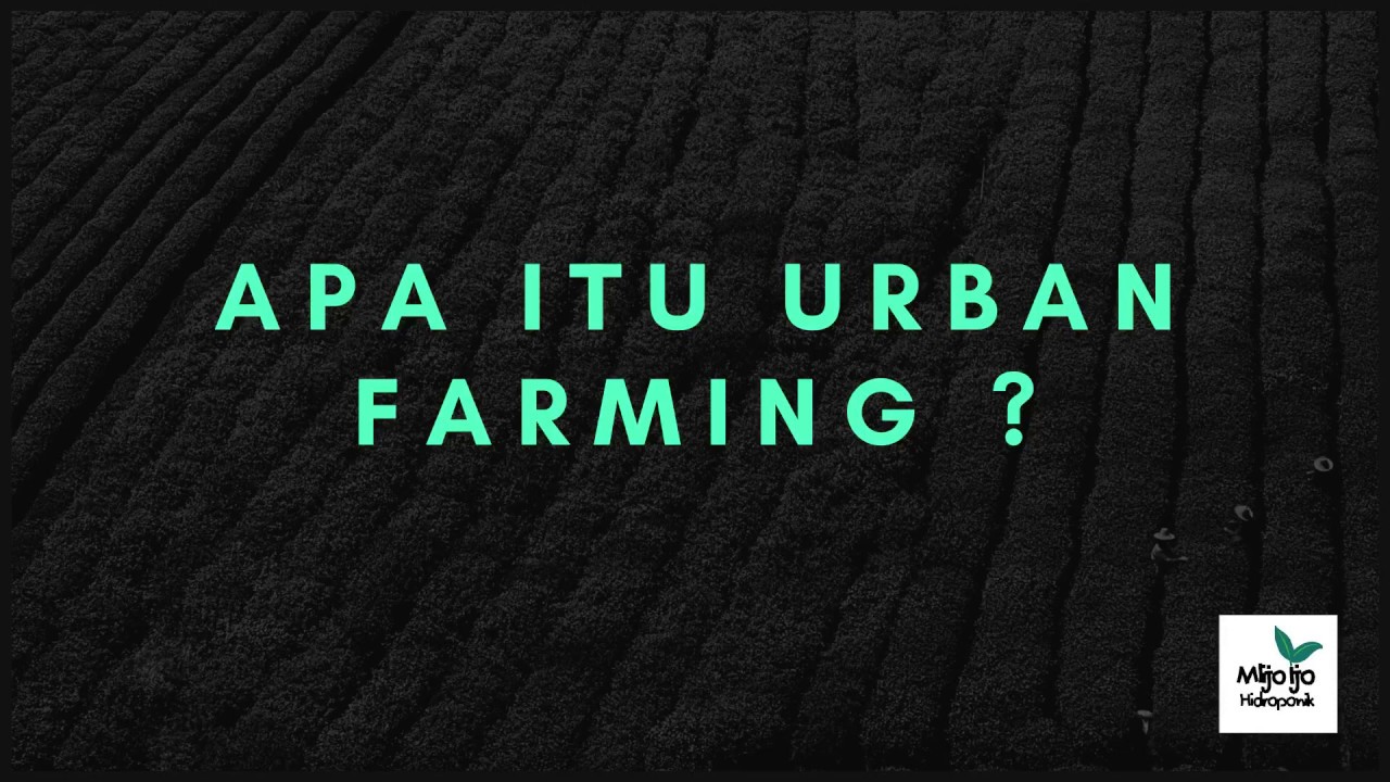 Apa Itu Urban Farming YouTube apa-itu-urban-farming-youtube