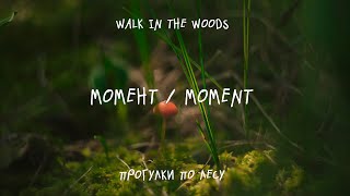 МОМЕНТ / MOMENT