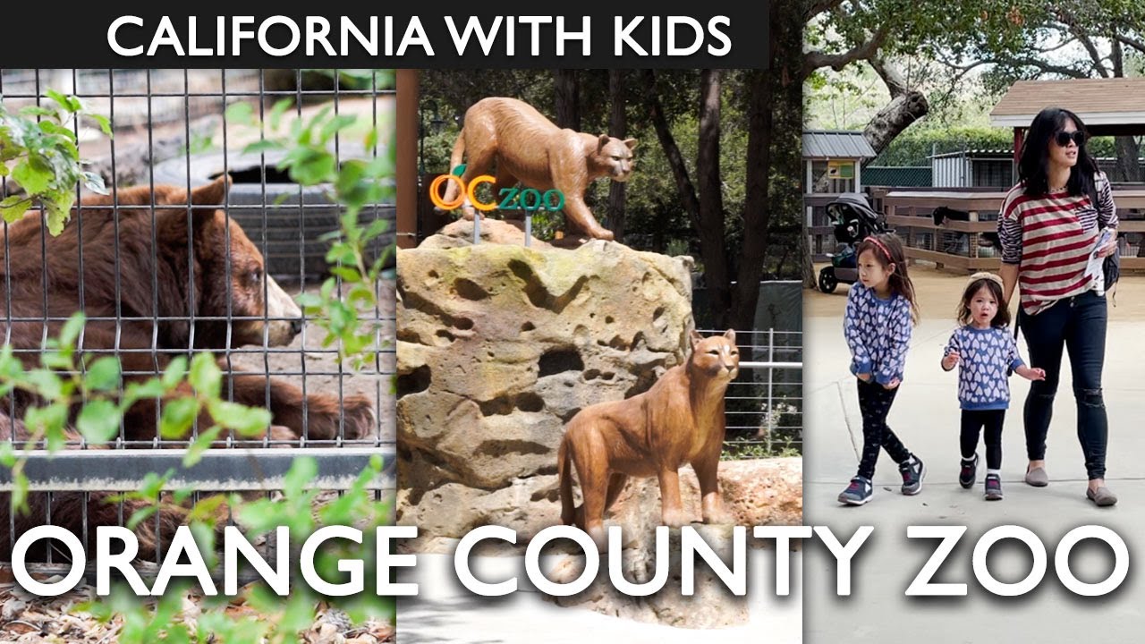 Orange County Zoo Reviews