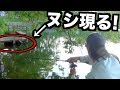 「ぬし」が居るとは知らずに釣りをしたらリールが悲鳴をあげた!!