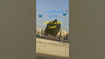 تشرق الشمس من تضحكين وبدا يومي بصوت الهديل 