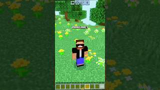 Minecraft but I will turn into any mob block I touch with my hand.