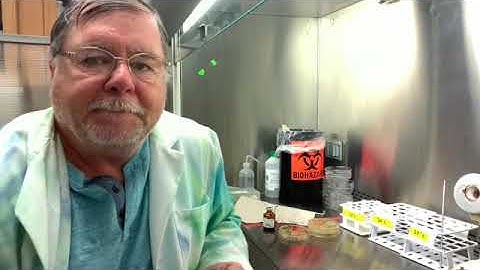 Lab 17 Student Unknown Bacterial Identification