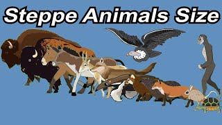 Steppe Animals Size Comparison in 2024 | Steppe Animals March in 2023