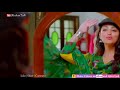 Kya Tumhe Yaad Hai || WhatsApp Status || Yami Gautam || Pulkit Samrat Whatsapp Status Video Download Free