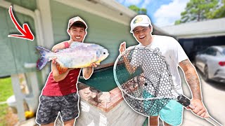 SURPRISING BEST FRIEND WITH DREAM FISH! *GONE WRONG*