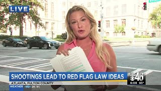 Lawmakers propose Red Flag law ideas after recent mass shootings