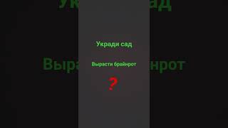 17 августа 2025 г.