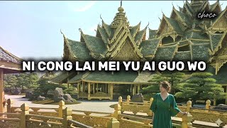 NI CONG LAI MEI YU AI GUO WO