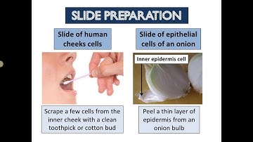 FORM 1 SCIENCE: CHAPTER 2 CELL AS THE BASIC UNIT OF LIFE (PART 2)