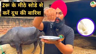 मीठा सोडा डेयरी फार्म के लिये वरदान👌🏻 Mitha Soda Uses in Dairy Farming | Baking Powder Benifits